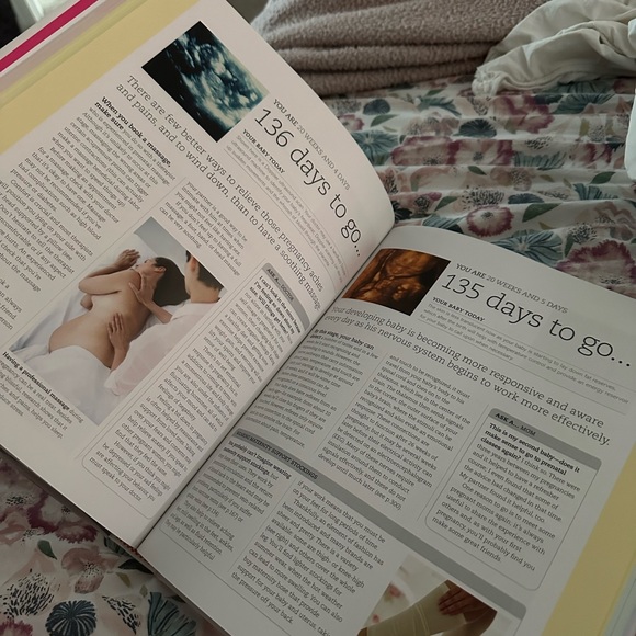 Pregnancy Day By Day: An Illustrated Daily Countdown to Motherhood - Picture 4 of 5